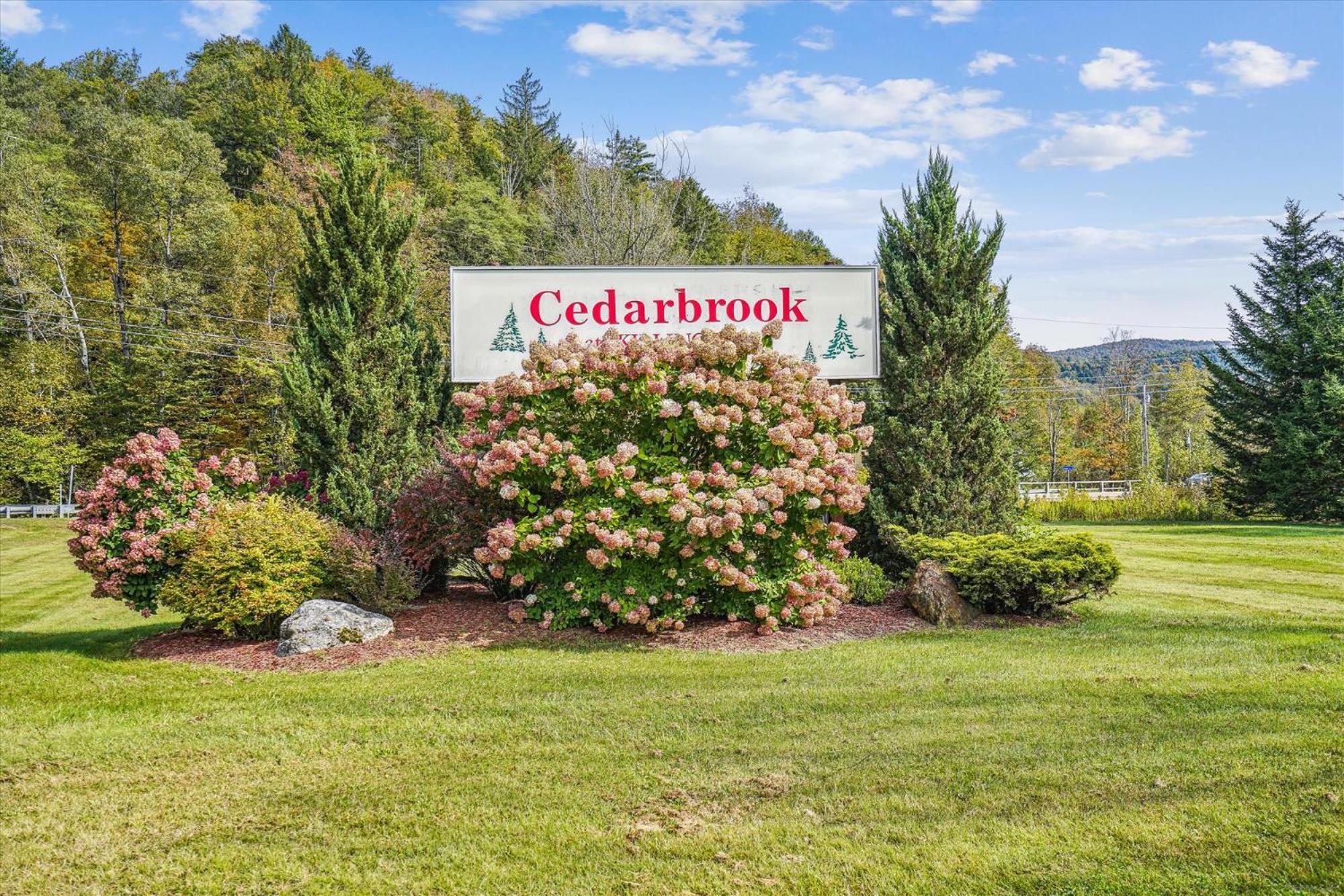 Cedarbrook Deluxe 1 Bedroom Suite With Outdoor Heated Pool 11820 Killington Exterior photo